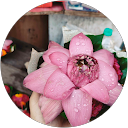 Home KOKO KOKO profile picture